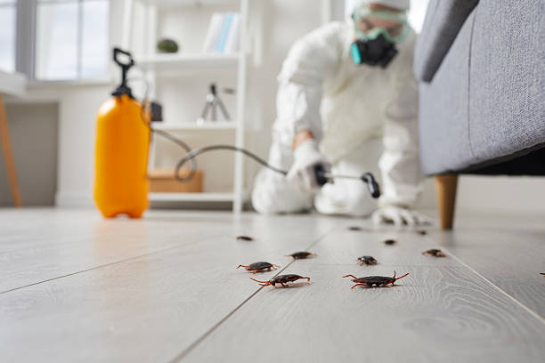 Commercial Kitchen Cockroach Control in Lake Station